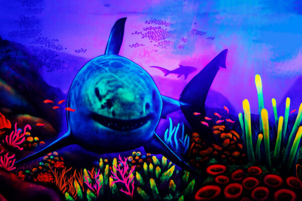 Hai-Wandbild-600x400